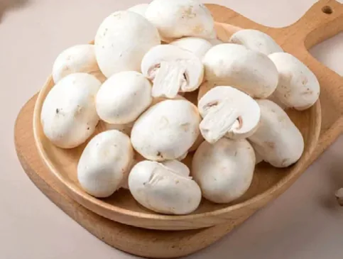 Mehrkopfwaage – Anwendung Pilze